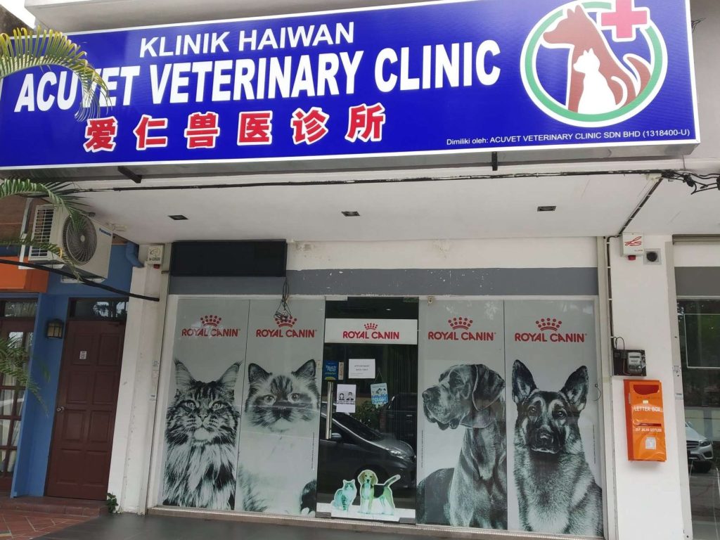 AcuVet Veterinary Clinic 1 acuvet veterinary clinic