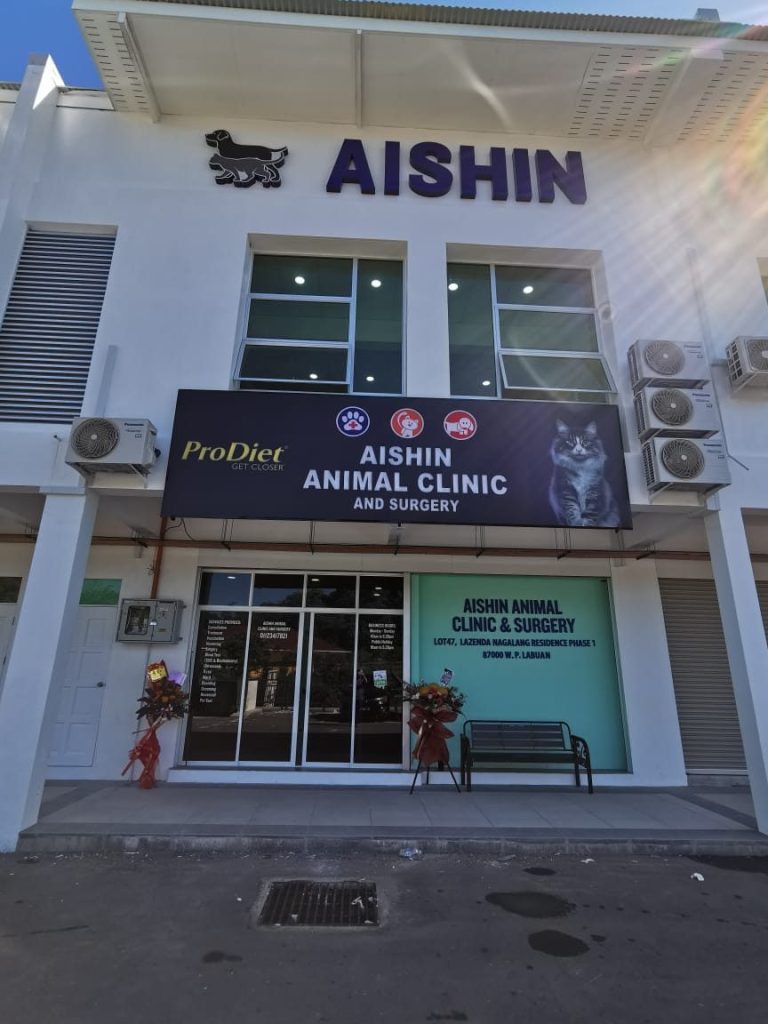 AISHIN BEAUFORT ANIMAL CLINIC & SURGERY 1 aishin beaufort animal clinic surgery