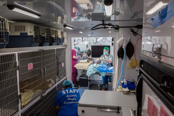 Alliance Mobile Veterinary Services 1 alliance mobile veterinary services