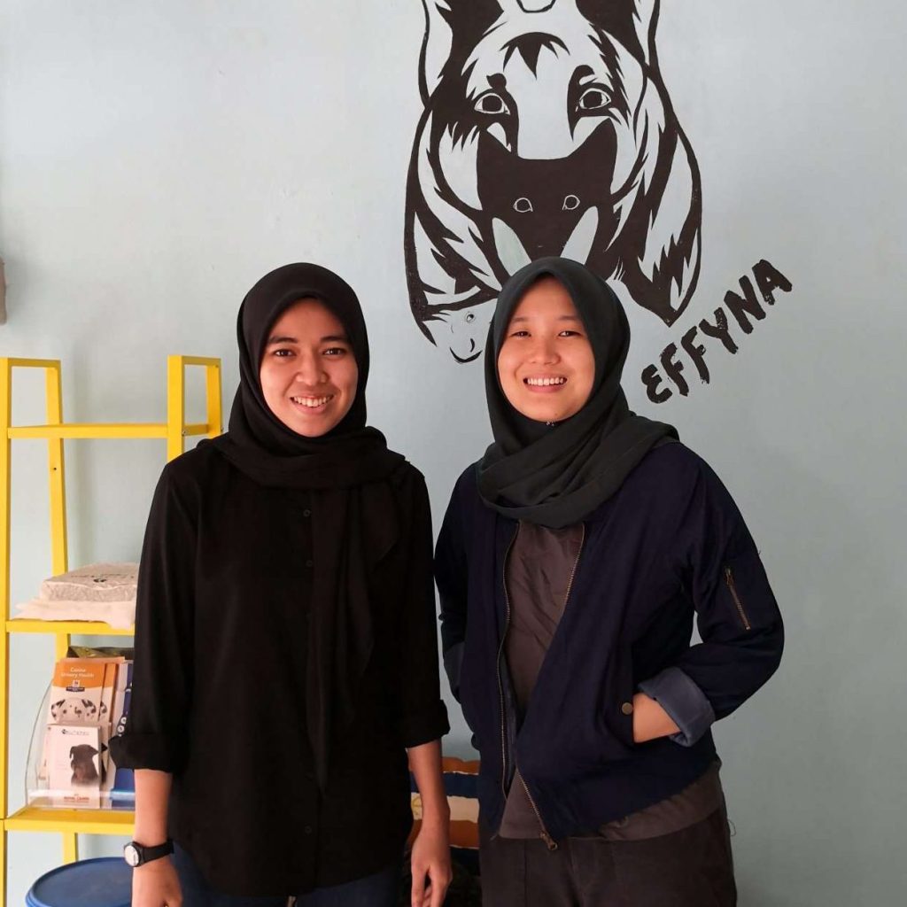 Animal Clinic SS14 1 animal clinic ss14