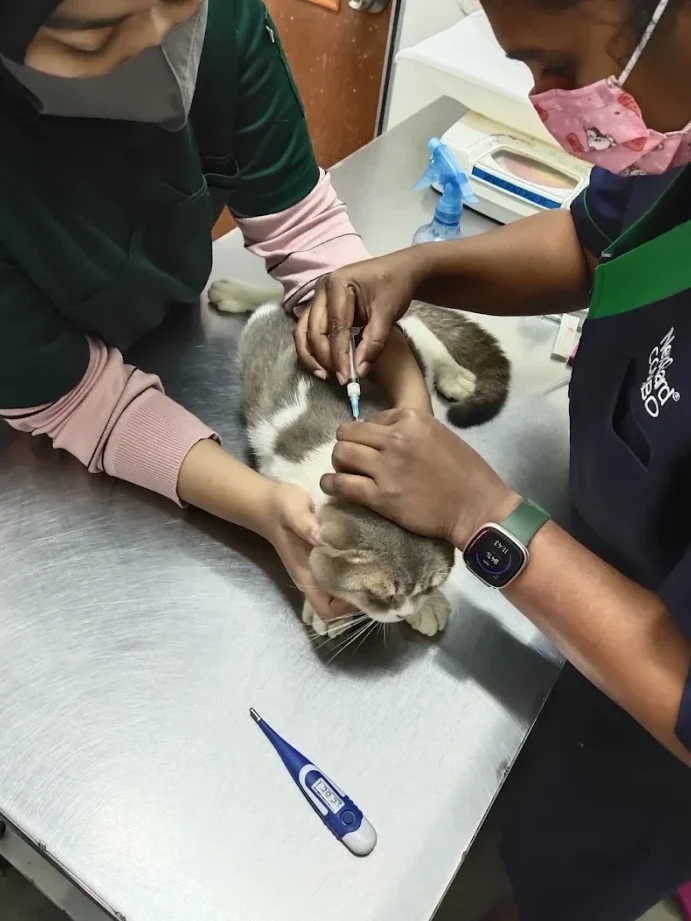 Animal Health Clinic (Klinik Kesihatan Haiwan) 1 animal health clinic klinik kesihatan haiwan