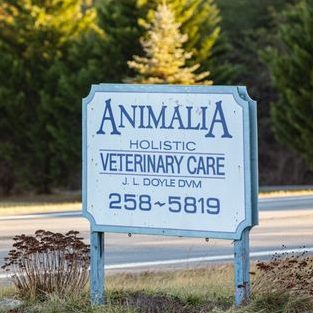 Animalia Veterinary Clinic 1 animalia veterinary clinic