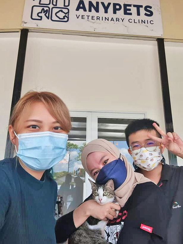 Anypets Veterinary Clinic 1 anypets veterinary clinic