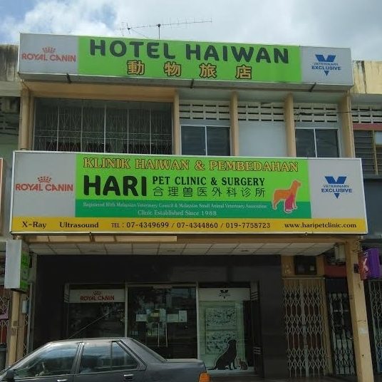 Batu Animal Clinic & Surgery 1 batu animal clinic surgery