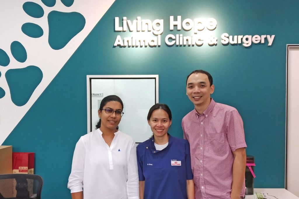 Chong Veterinary Clinic 1 chong veterinary clinic