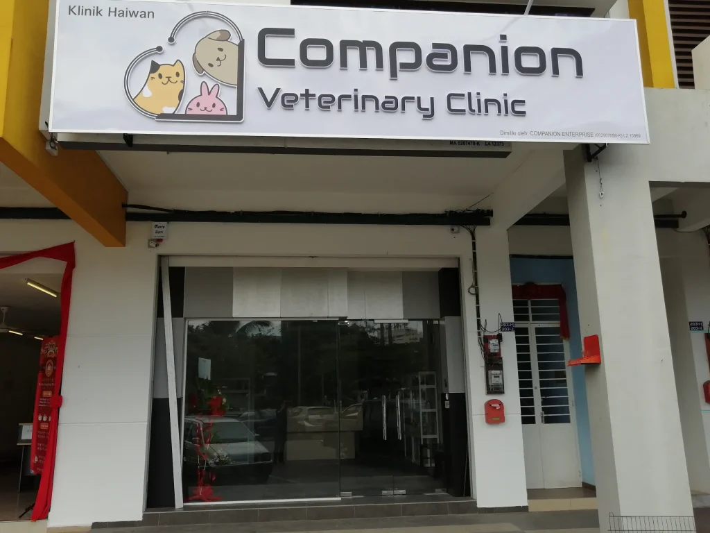Companion Veterinary Clinic Melaka - Klinik Haiwan Companion Melaka - 马六甲同伴兽医诊所 1 companion veterinary clinic melaka klinik haiwan companion melaka e9a9ace585ade794b2e5908ce4bcb4e585bde58cbbe8af8ae68980