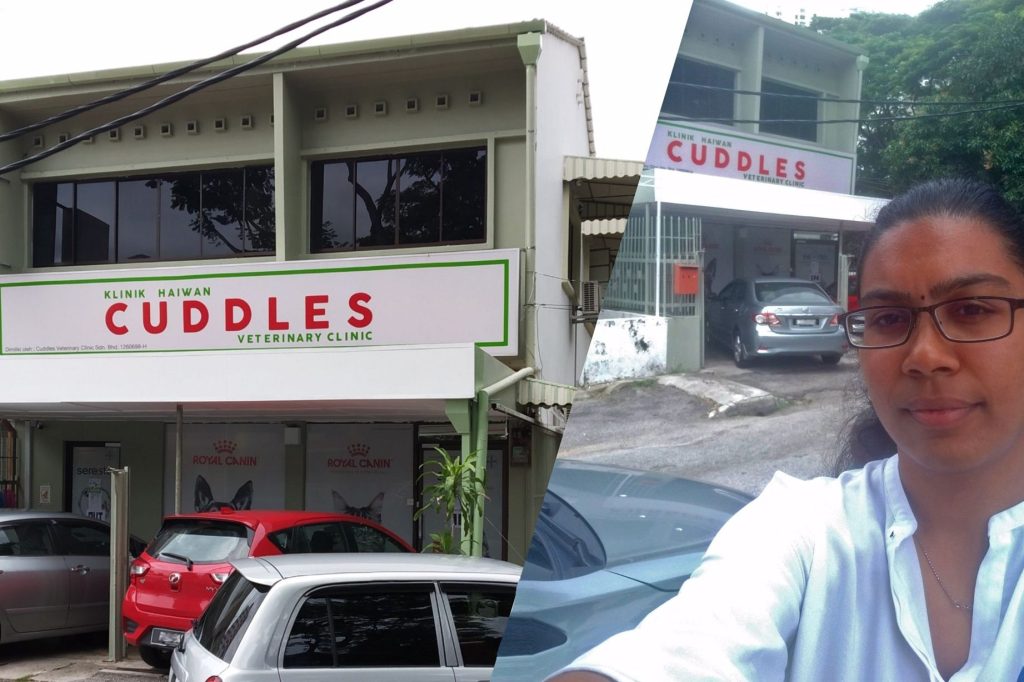 Cuddles Veterinary Clinic 1 cuddles veterinary clinic