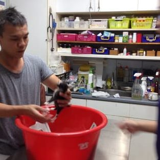 Damai Veterinary Clinic 1 damai veterinary clinic