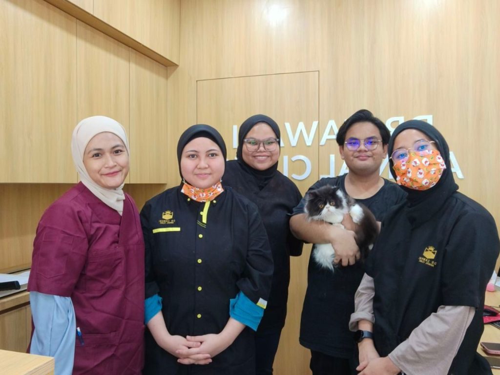 Dr Zawani Animal Clinic Kuching 1 dr zawani animal clinic kuching