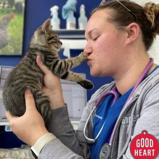DrNor Veterinary Clinic 1 drnor veterinary clinic