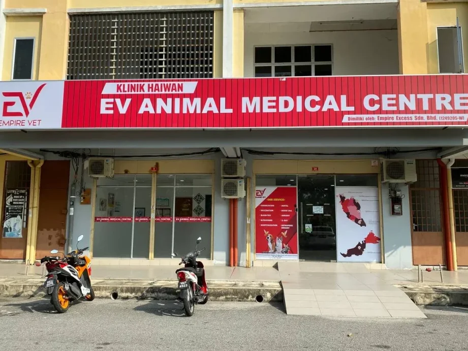 EV Animal Medical Centre 1 ev animal medical centre