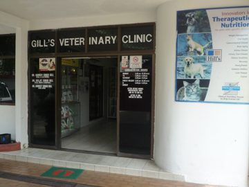 Gill's Veterinary Clinic 1 gills veterinary clinic