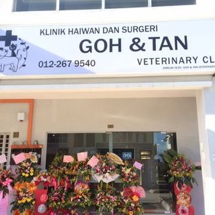 Goh & Tan Veterinary Clinic 兽医 1 goh tan veterinary clinic e585bde58cbb