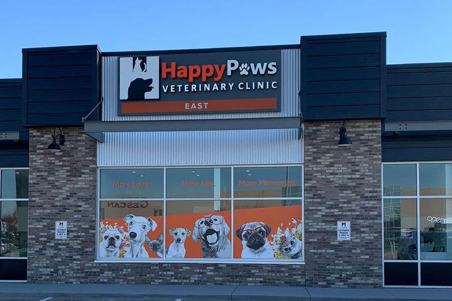 Happy Paws Animal Medical Centre 1 happy paws animal medical centre