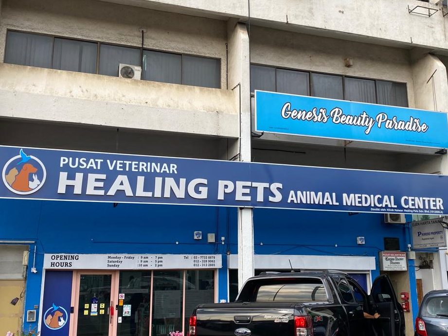 Healing Pets Animal Medical Centre - Ss21 Uptown Damansara 1 healing pets animal medical centre ss21 uptown damansara