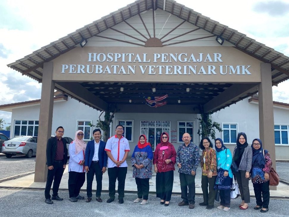 Hospital Pengajar Perubatan Veterinar UMK 1 hospital pengajar perubatan veterinar umk