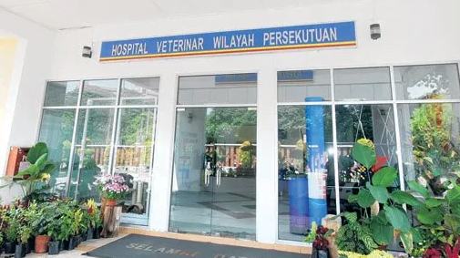Hospital Veterinar Kuala Lumpur 1 hospital veterinar kuala lumpur