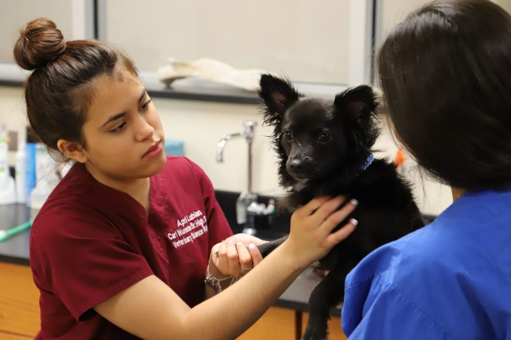 HS Veterinary Clinic 1 hs veterinary clinic
