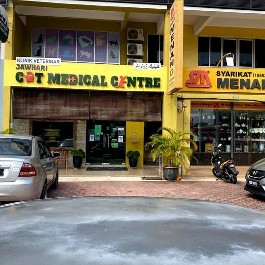 Jawhari Cat Medical Centre 1 jawhari cat medical centre