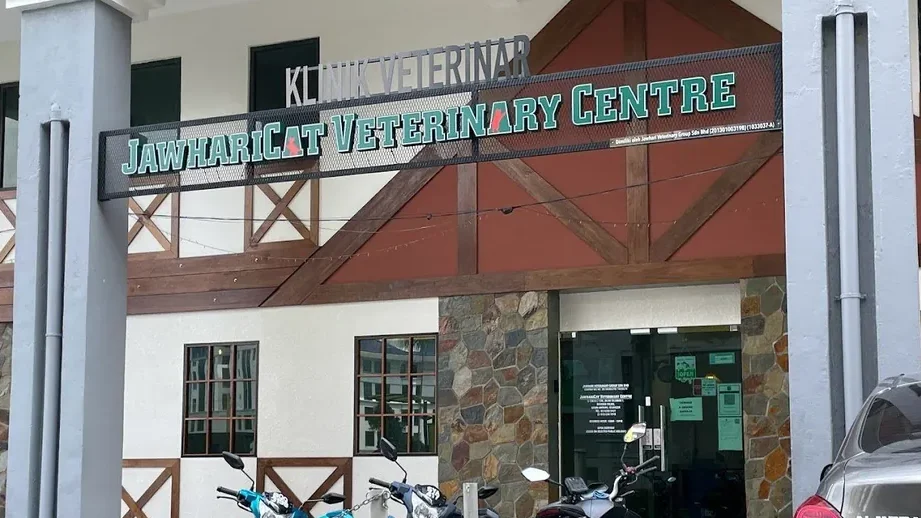 JawhariCat Veterinary Centre 1 jawharicat veterinary centre