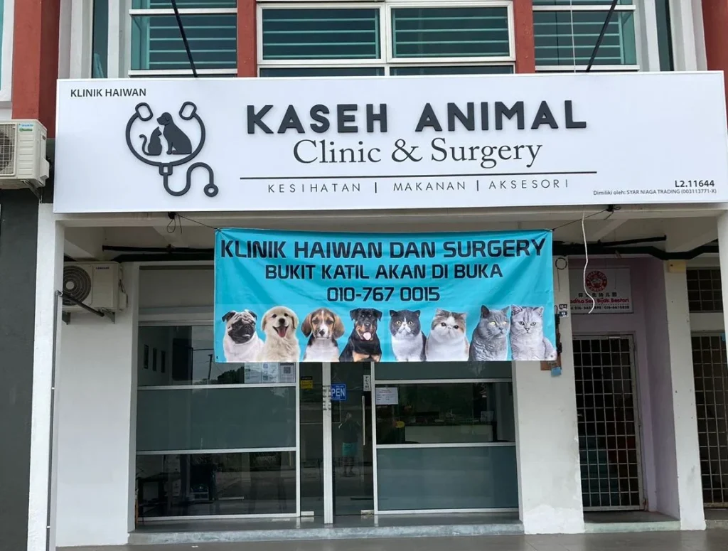 Kaseh Animal Clinic & Surgery 1 kaseh animal clinic surgery
