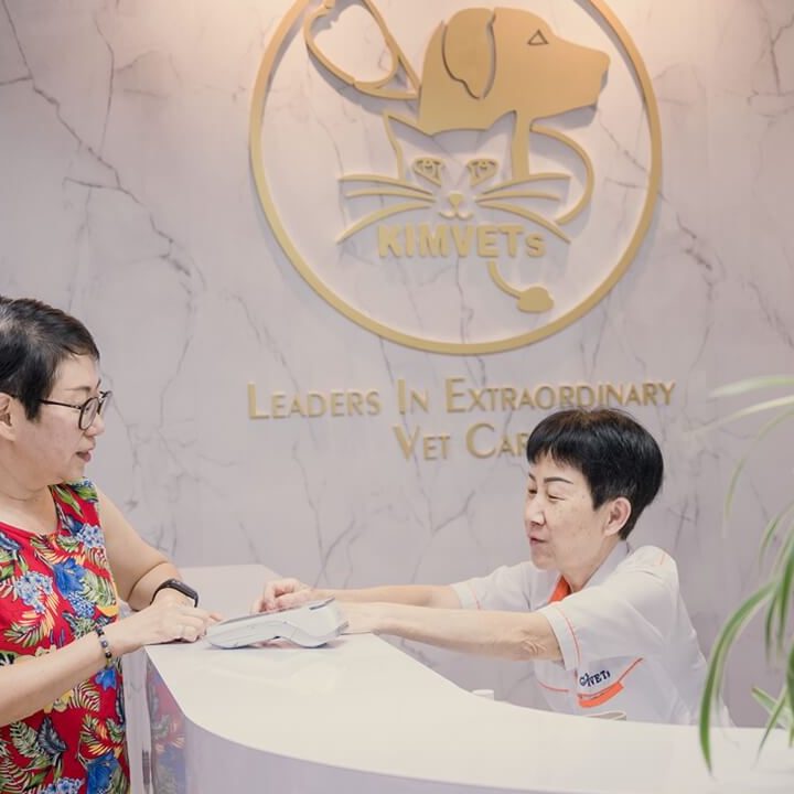 Kim Veterinary Clinic & Surgery 1 kim veterinary clinic surgery