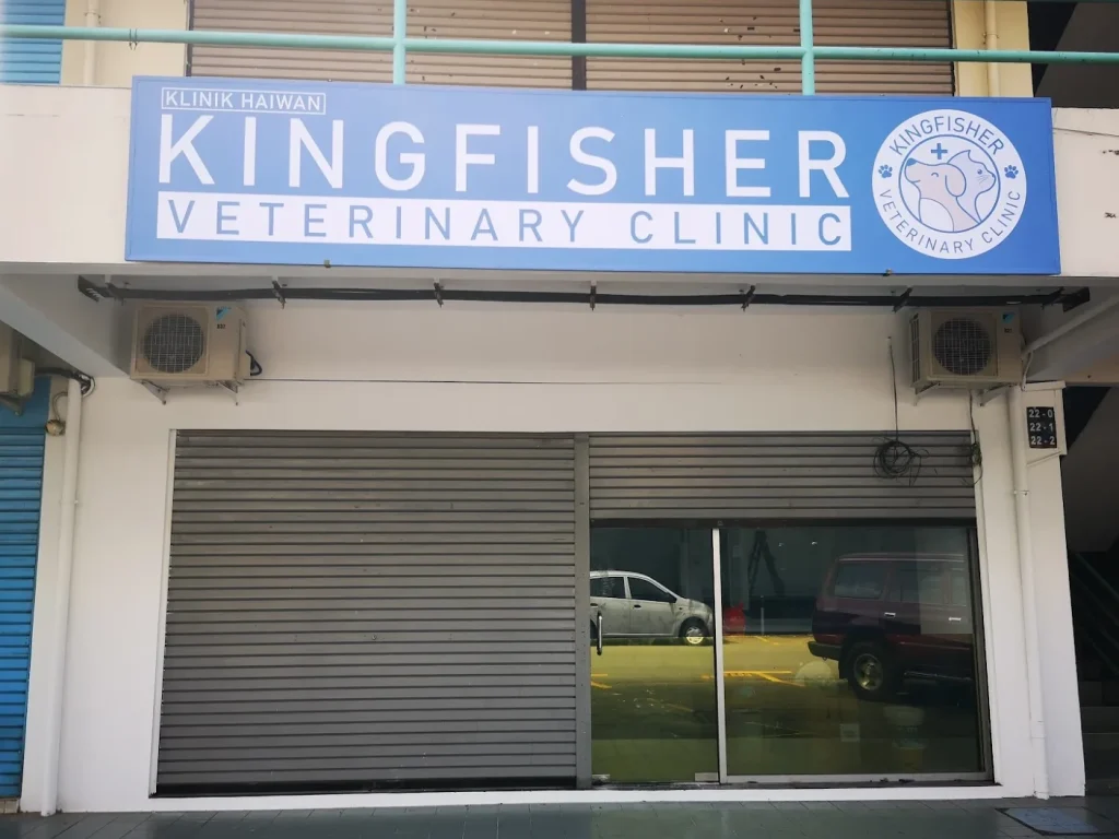 kingfisher veterinary clinic