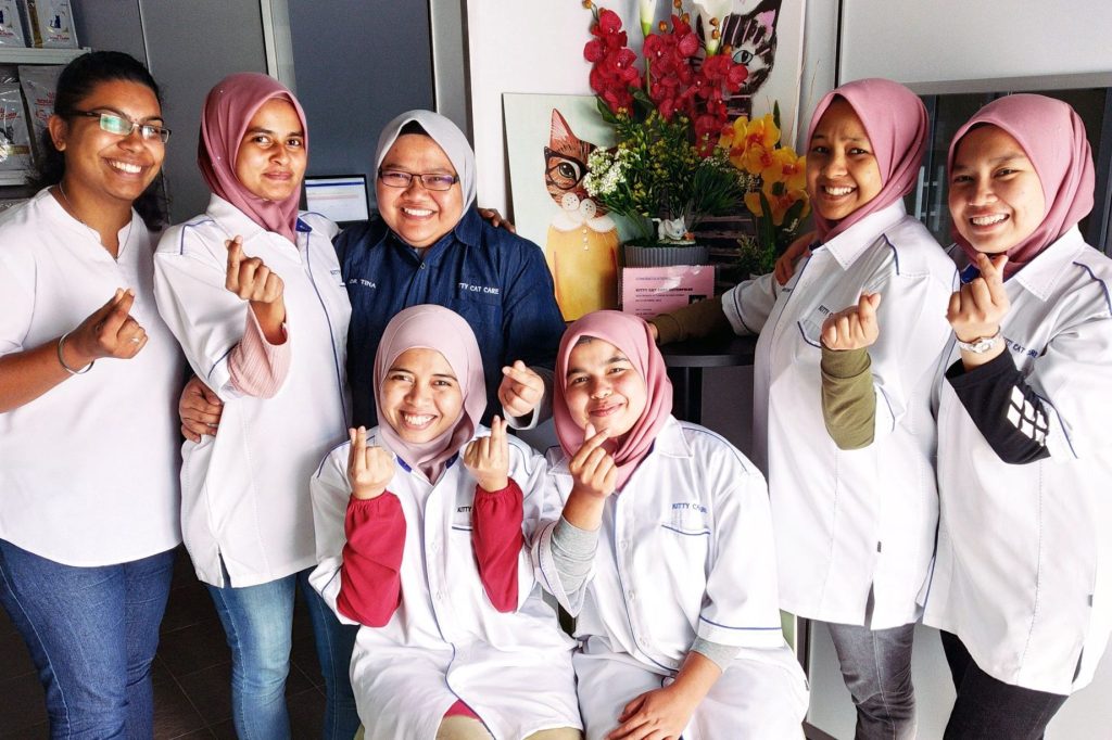 Kitty Cat Care Enterprise 1 kitty cat care enterprise