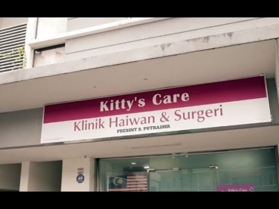 KITTYS CARE VETERINARY CLINIC SETAPAK( KLINIK HAIWAN DAN SURGERI) 1 kittys care veterinary clinic setapak klinik haiwan dan surgeri