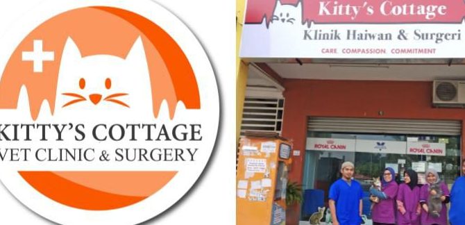 Kitty's Cottage Klinik Haiwan dan Surgeri SHAH ALAM 1 kittys cottage klinik haiwan dan surgeri shah alam