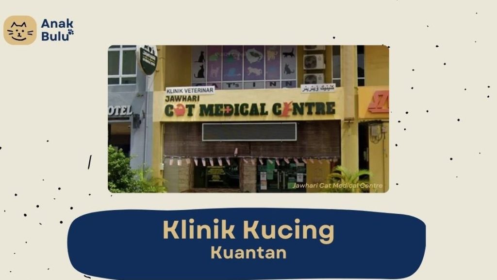 Klinik Haiwan Beserah ( Cat only ) 1 klinik haiwan beserah cat only