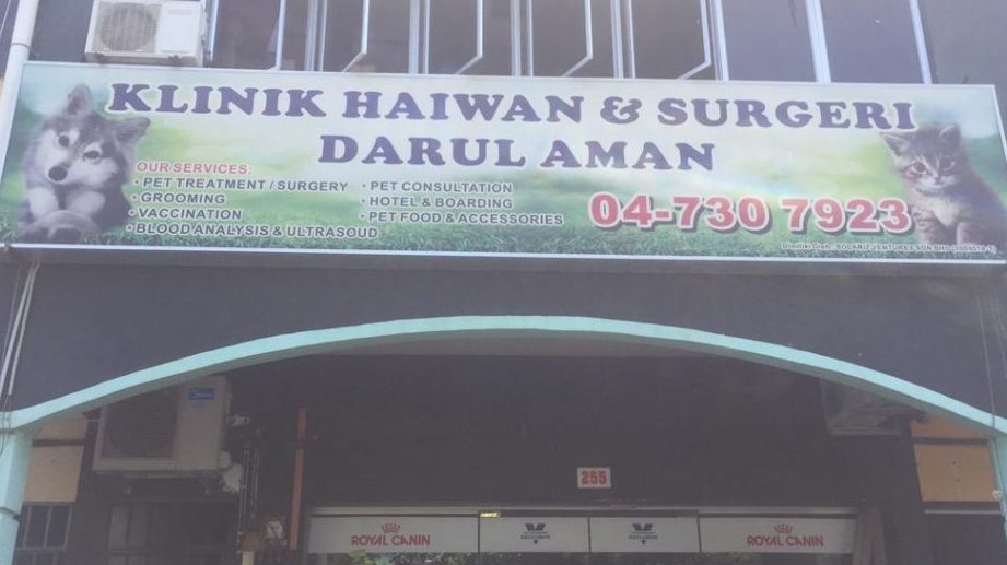 Klinik Haiwan Catsby Jitra Kedah 1 klinik haiwan catsby jitra kedah