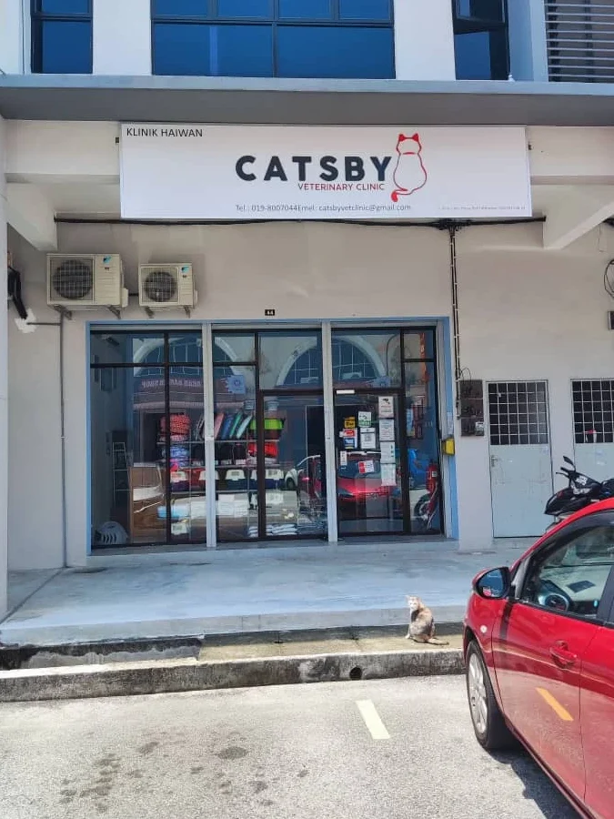 Klinik Haiwan Catsby Penang 1 klinik haiwan catsby penang