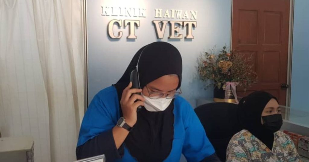 Klinik Haiwan CT VET 1 klinik haiwan ct vet