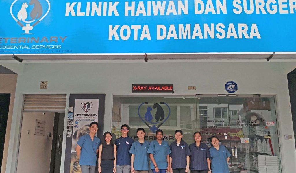 Klinik Haiwan dan Surgeri Tenom 1 klinik haiwan dan surgeri tenom