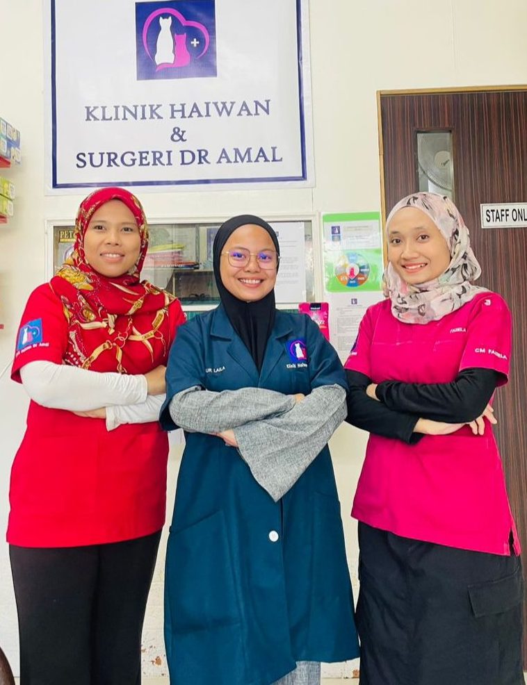 Klinik Haiwan Dr Ameerul 1 klinik haiwan dr ameerul
