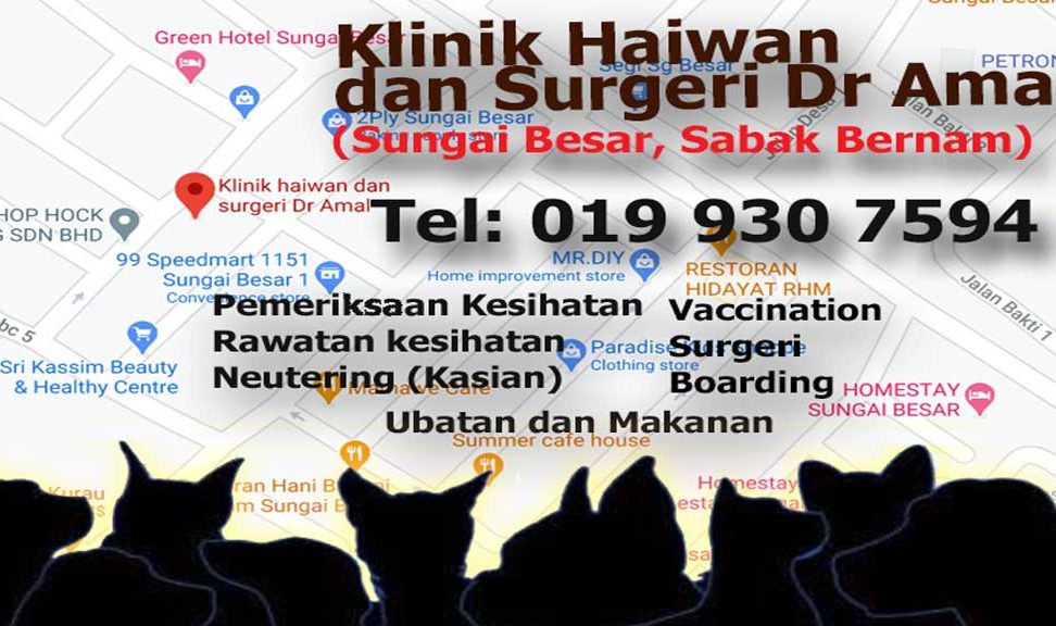 Klinik Haiwan Dr Nour Ipoh 1 klinik haiwan dr nour ipoh
