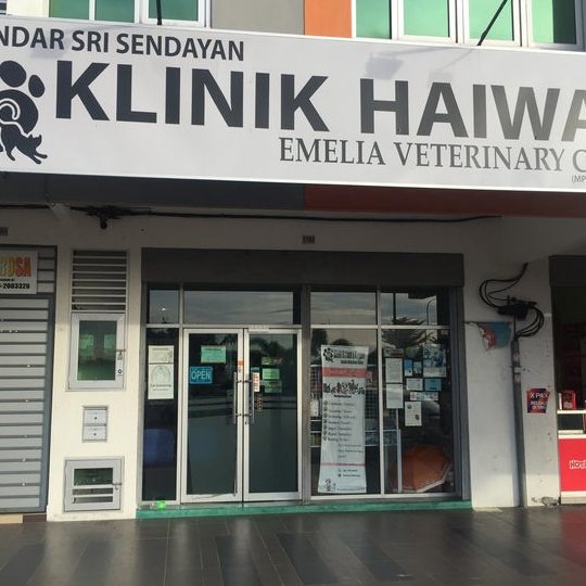Klinik Haiwan Emelia Veterinary Clinic 1 klinik haiwan emelia veterinary clinic