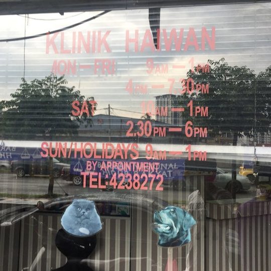 Klinik Haiwan Genting Kelang 1 klinik haiwan genting kelang