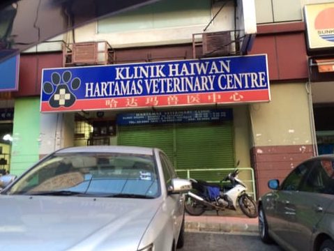 Klinik Haiwan Hartamas Veterinary Centre 1 klinik haiwan hartamas veterinary centre