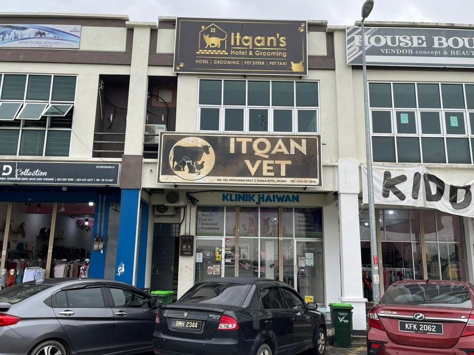 KLINIK HAIWAN KUALA KETIL 1 klinik haiwan kuala ketil