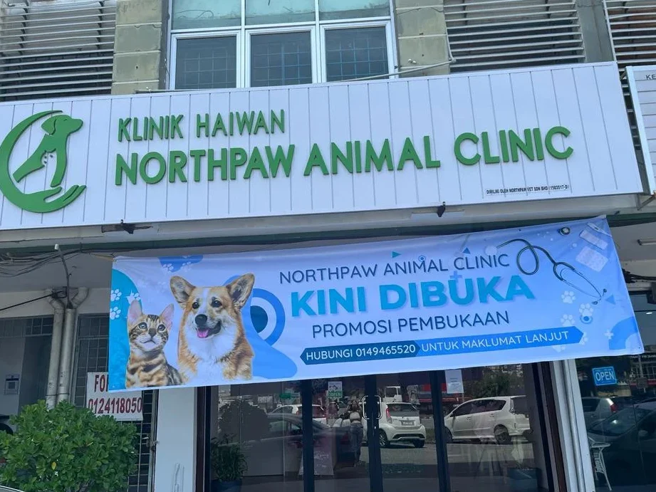 Klinik Haiwan Northpaw (Northpaw Animal Clinic) 1 klinik haiwan northpaw northpaw animal clinic