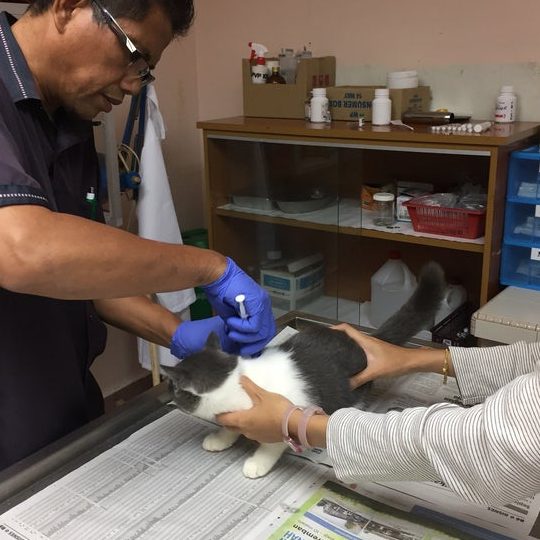 Klinik Haiwan Seri Iskandar 1 klinik haiwan seri iskandar