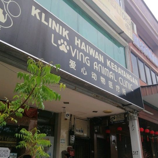 Klinik Haiwan Sg Petani 1 klinik haiwan sg petani