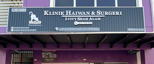 Klinik Haiwan & Surgeri I-City Shah Alam ( Cawangan Dr meow ) 1 klinik haiwan surgeri i city shah alam cawangan dr meow