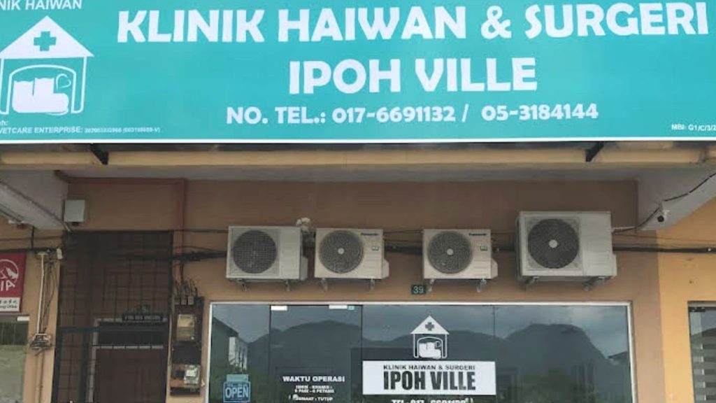 Klinik Haiwan Surgeri Ipoh Ville 1 klinik haiwan surgeri ipoh ville