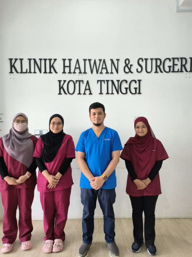 KLINIK HAIWAN & SURGERI KOTA TINGGI 1 klinik haiwan surgeri kota tinggi