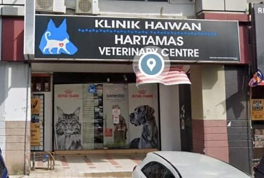 klinik haiwan 1 klinik haiwan