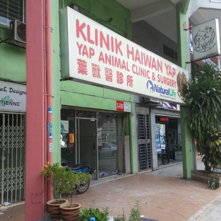 Klinik Veterinar di Alor Gajah, Malaysia 1 klinik veterinar di alor gajah malaysia