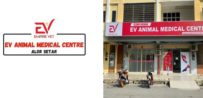 Klinik Veterinar di Alor Setar, Malaysia 1 klinik veterinar di alor setar malaysia